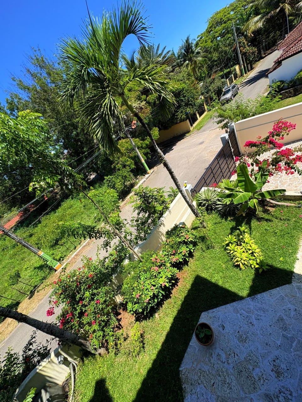 Spring, Day, Natural landscape, Garden, Garden view