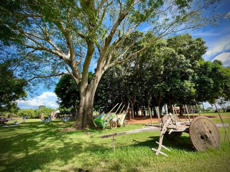 Natural landscape, Garden
