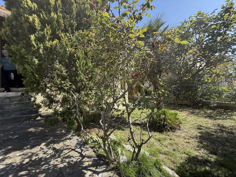 Maison avec jardin et terrasse, 3 chambres à Sète - FR-1-338-612 House in Occitanie