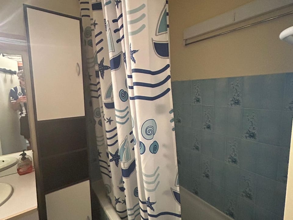 Studio au centre, accès direct piste, parking gratuit - FR-1-814-106 Apartment in Besse-et-Saint-Anastaise