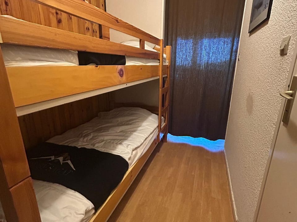 Studio confortable au centre, pied des pistes - FR-1-814-115 Apartment in Besse-et-Saint-Anastaise