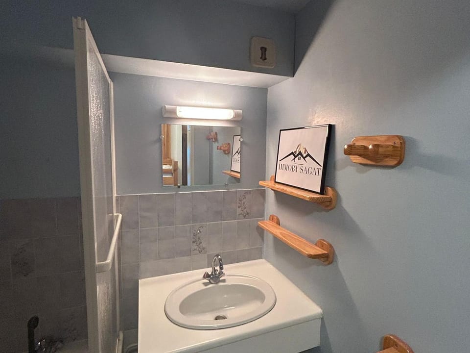 Studio confortable au centre, pied des pistes - FR-1-814-115 Apartment in Besse-et-Saint-Anastaise