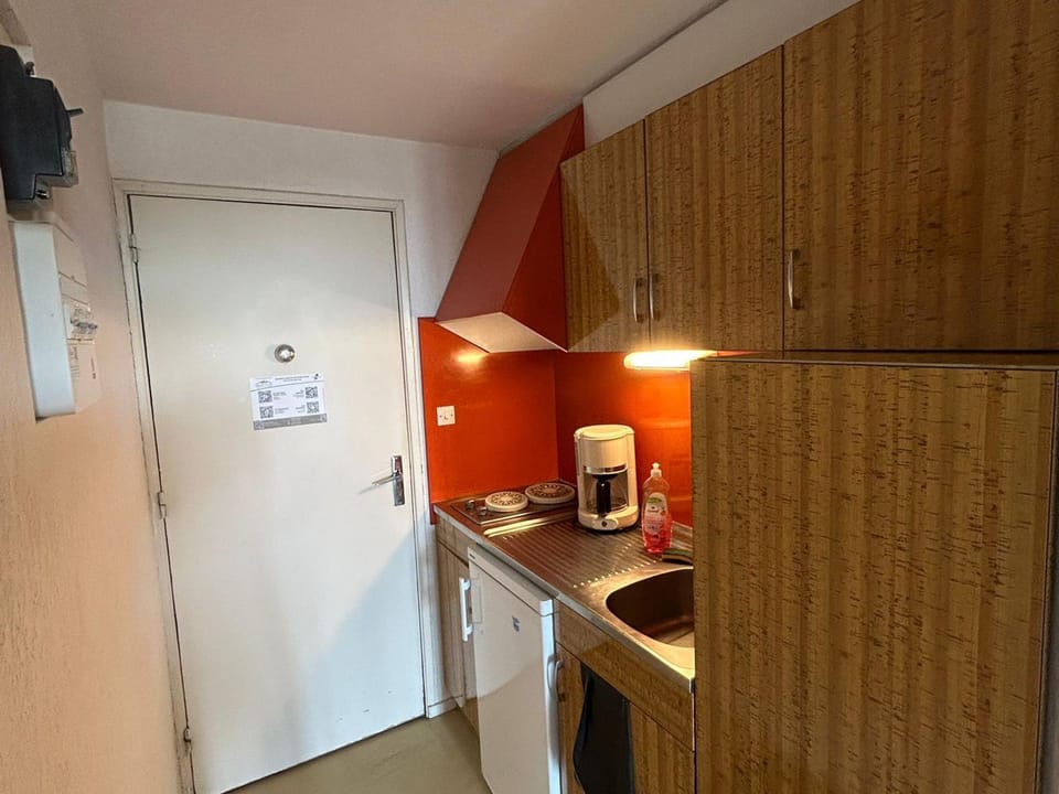 Studio skis aux pieds pour 4 personnes près des pistes - FR-1-814-110 Apartment in Besse-et-Saint-Anastaise