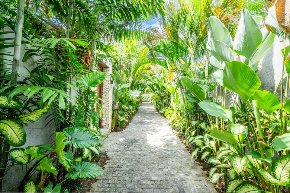 Natural landscape, Garden, Garden view