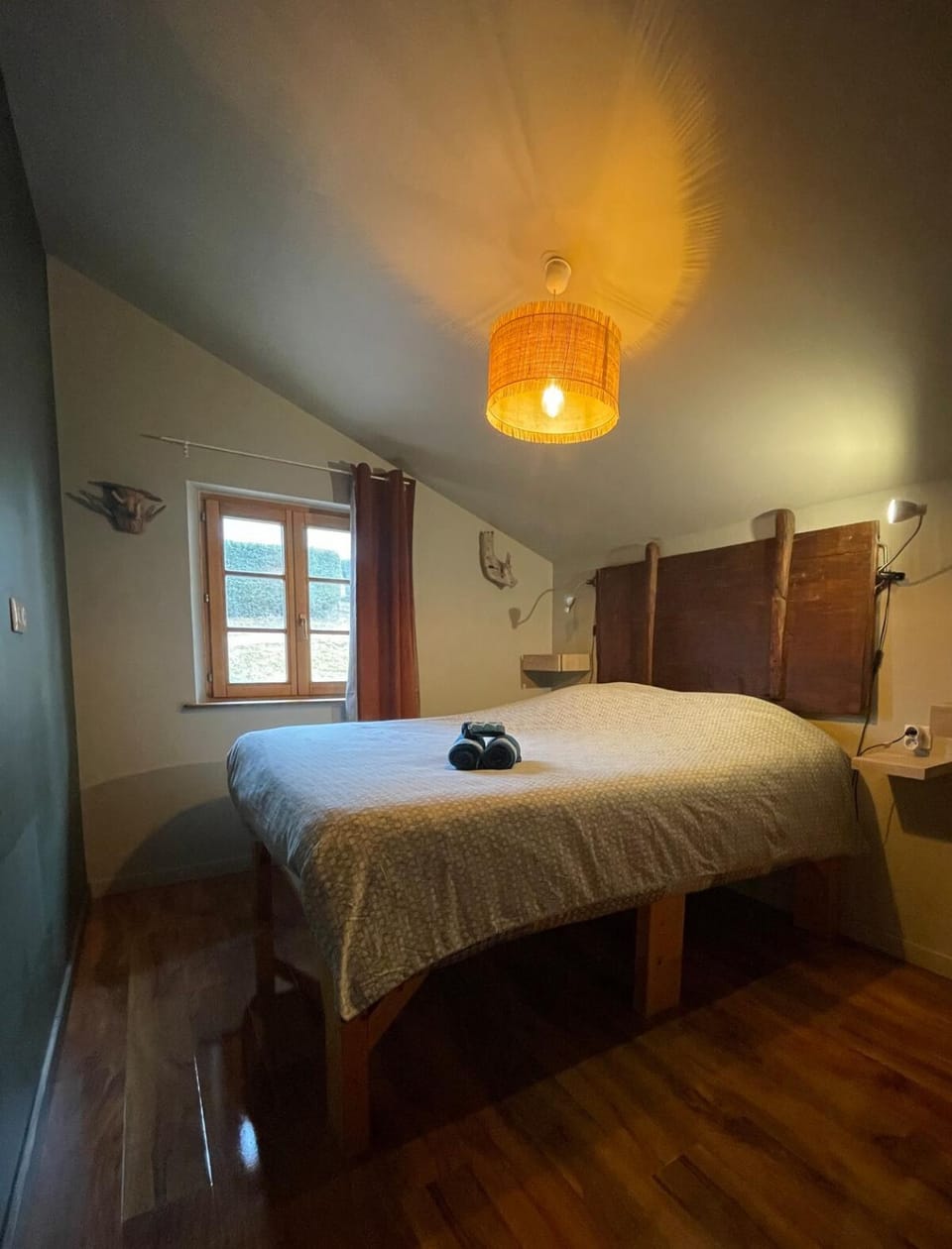 Photo of the whole room
