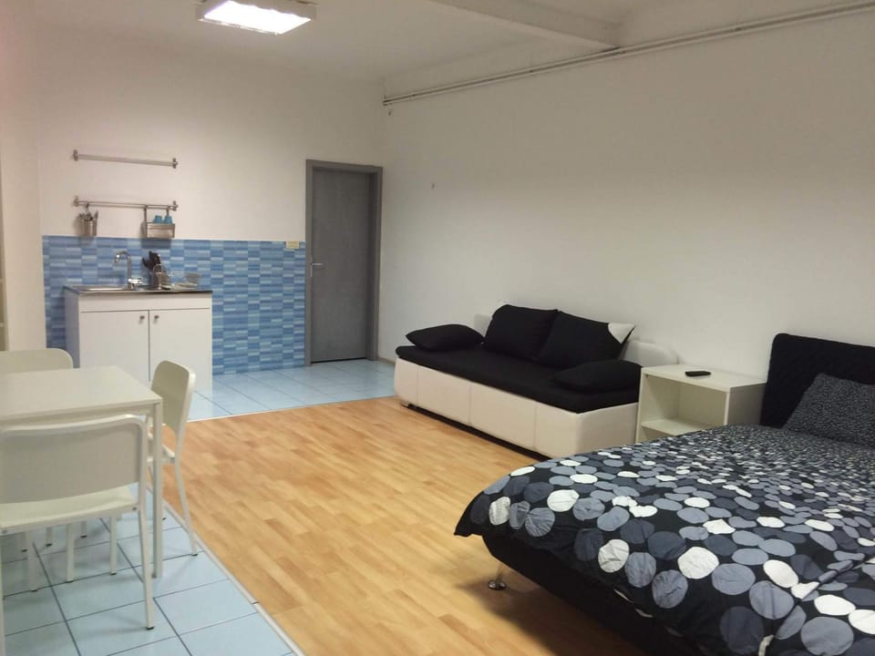 Bed, TV and multimedia, Kitchen or kitchenette, Living room, Photo of the whole room, Seating area, Dining area, Bedroom