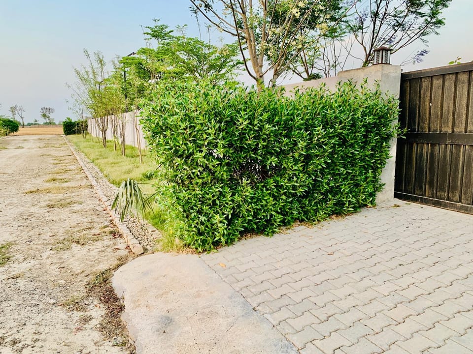 Luxurious farm house for stay play and events Campground/ 
RV Resort in Lahore