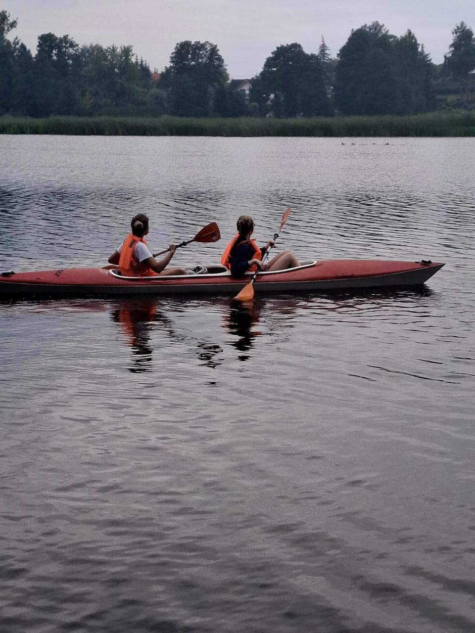 Natural landscape, Activities, River view