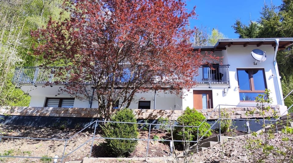 Property building, Garden view