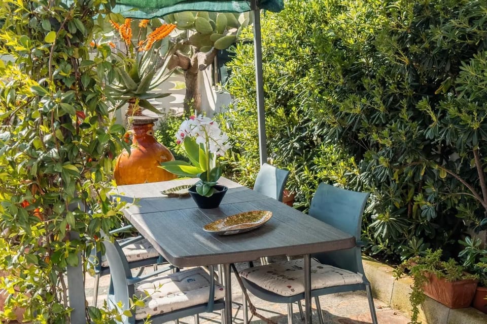 Patio, Garden