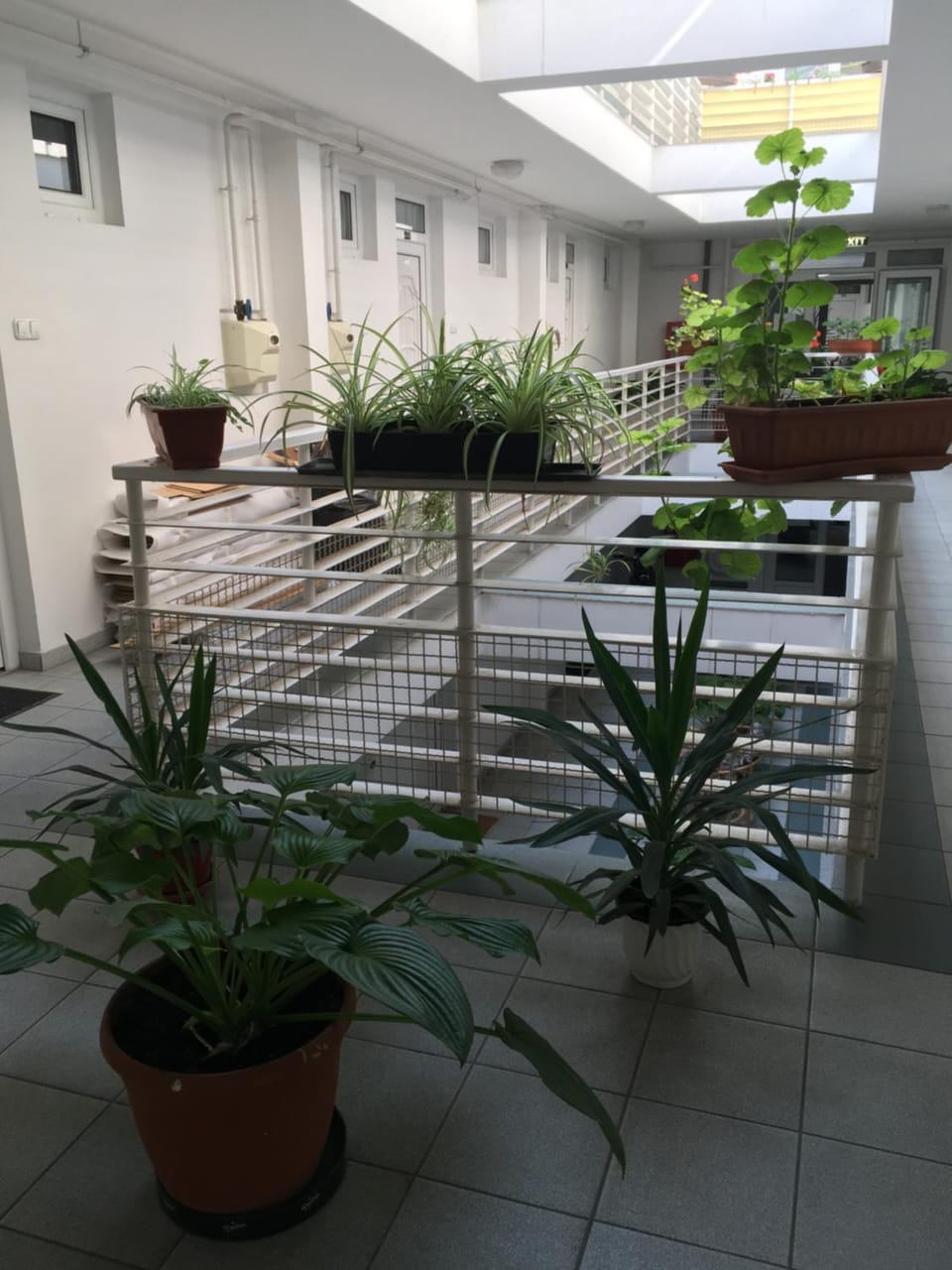 Muskátli Apartmanház Apartment in Hévíz