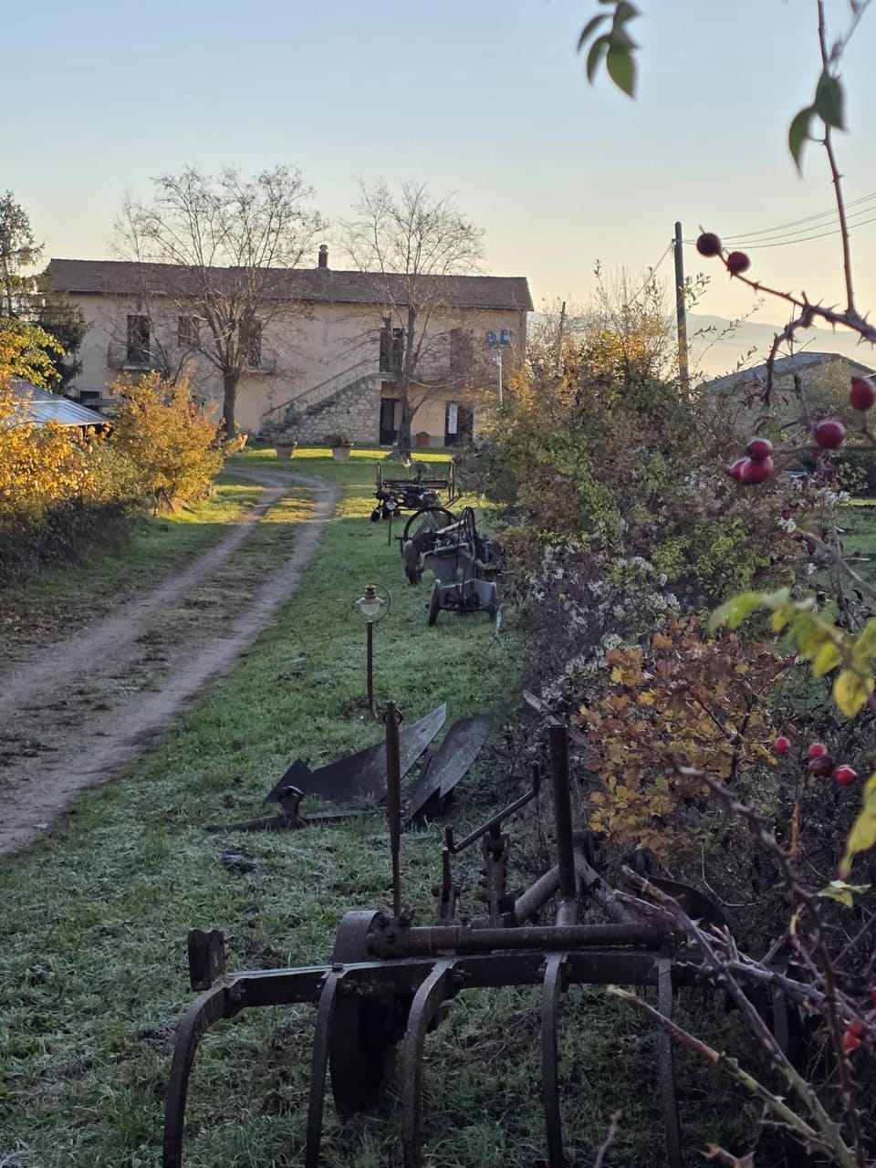 Day, Natural landscape, Garden