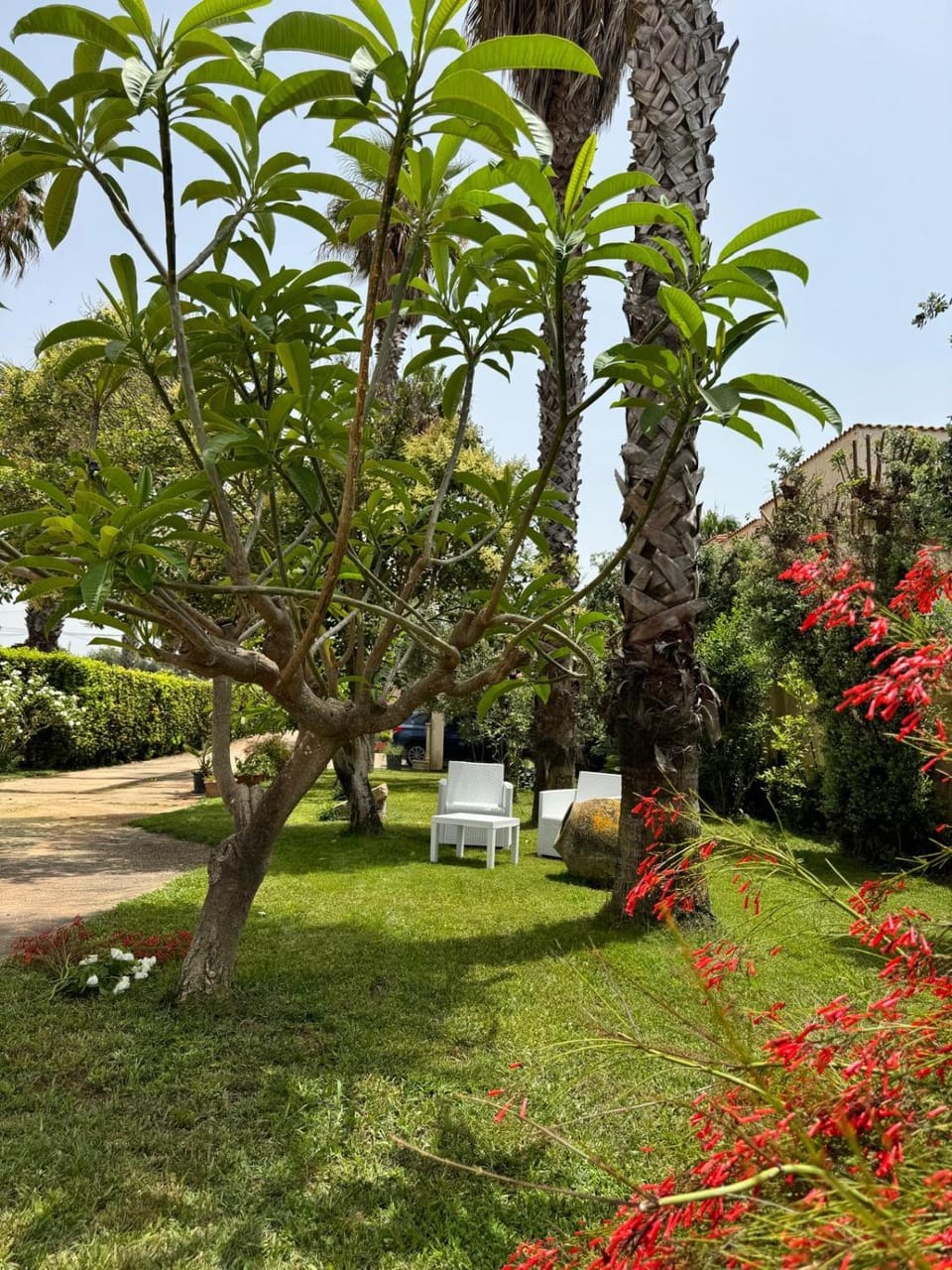 Garden, Parking