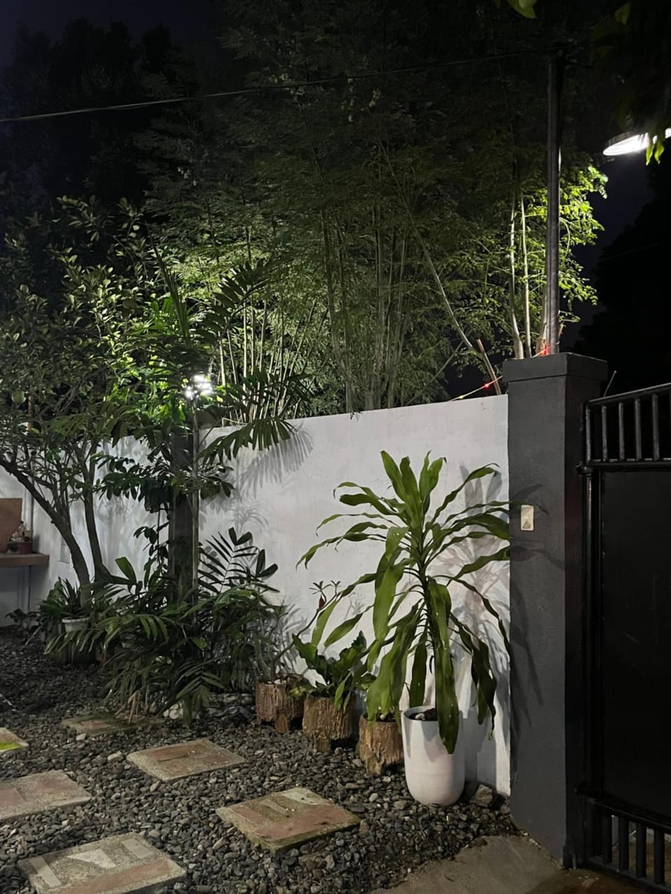 Night, Garden, Garden view