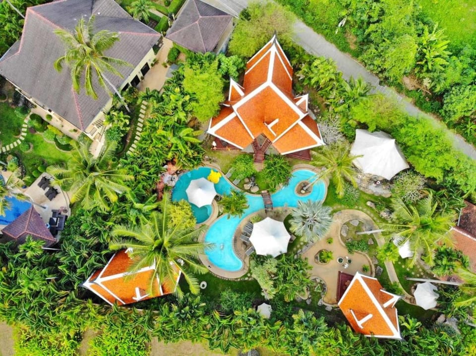 Natural landscape, Bird's eye view, Garden, Garden view, Pool view, Swimming pool