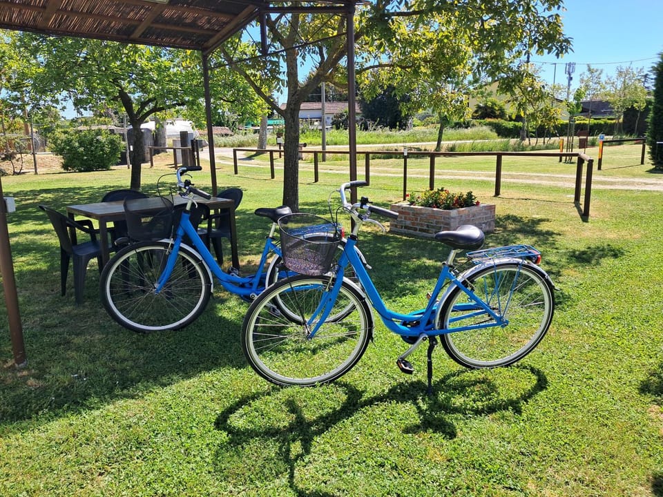 Cycling