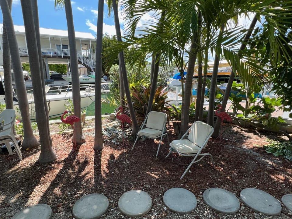 Garden, Garden view, Inner courtyard view