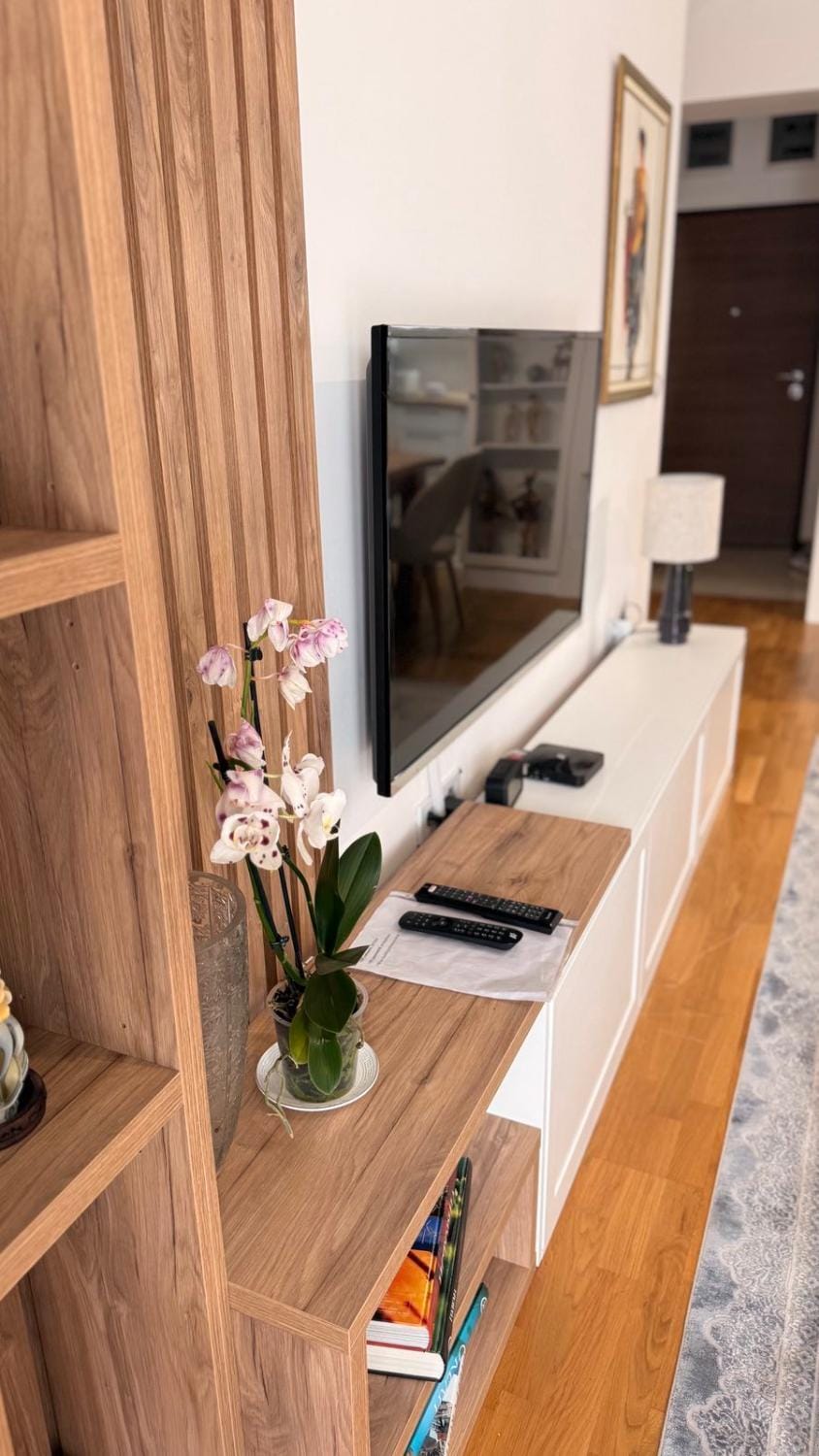 TV and multimedia
