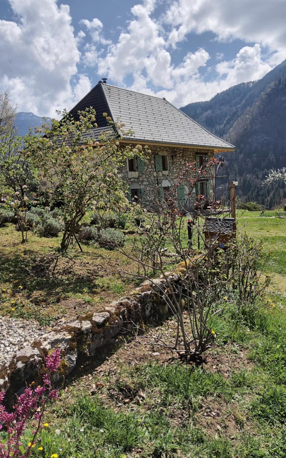 Garden view