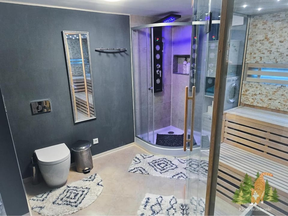 Shower, Toilet, Sauna, Bathroom, towels
