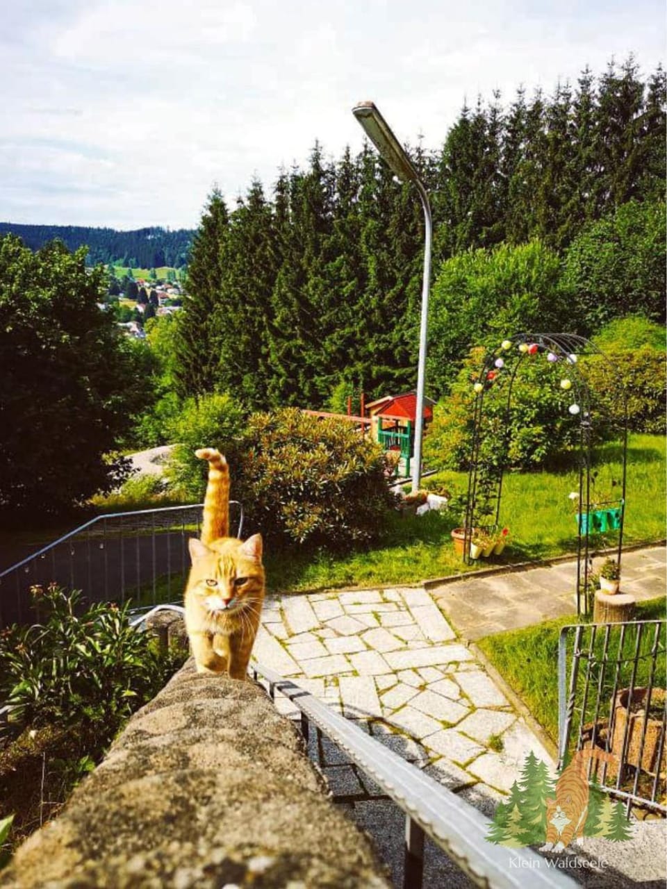Spring, Day, Summer, Garden, Garden, Balcony/Terrace, On site, Garden view, Time of day, Location