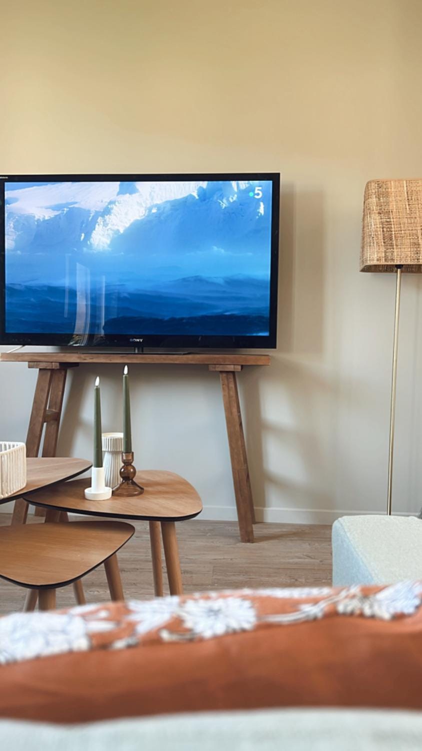 TV and multimedia