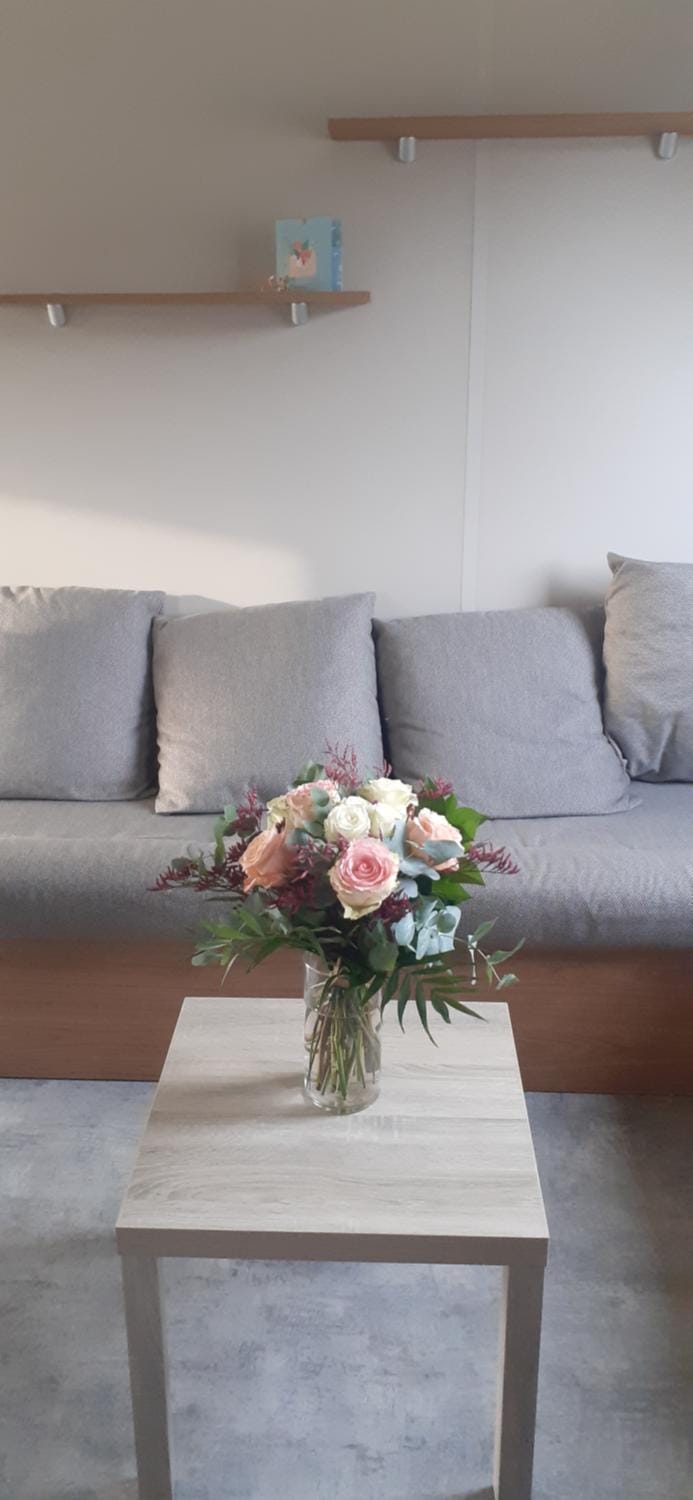 Mobil-home 28 m2, 2 chambres et terrasse Campground/ 
RV Resort in Douarnenez