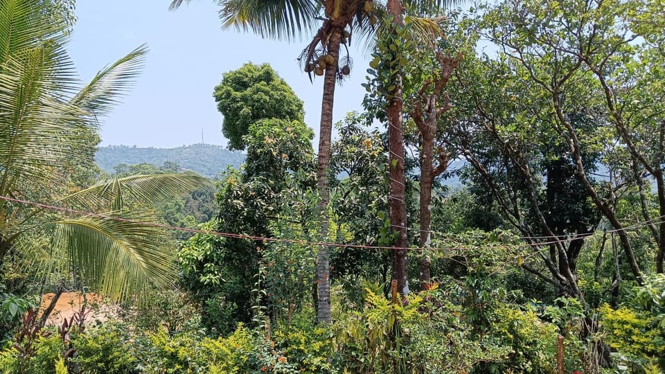 Ammavvana Kutira Home stay Villa in Madikeri
