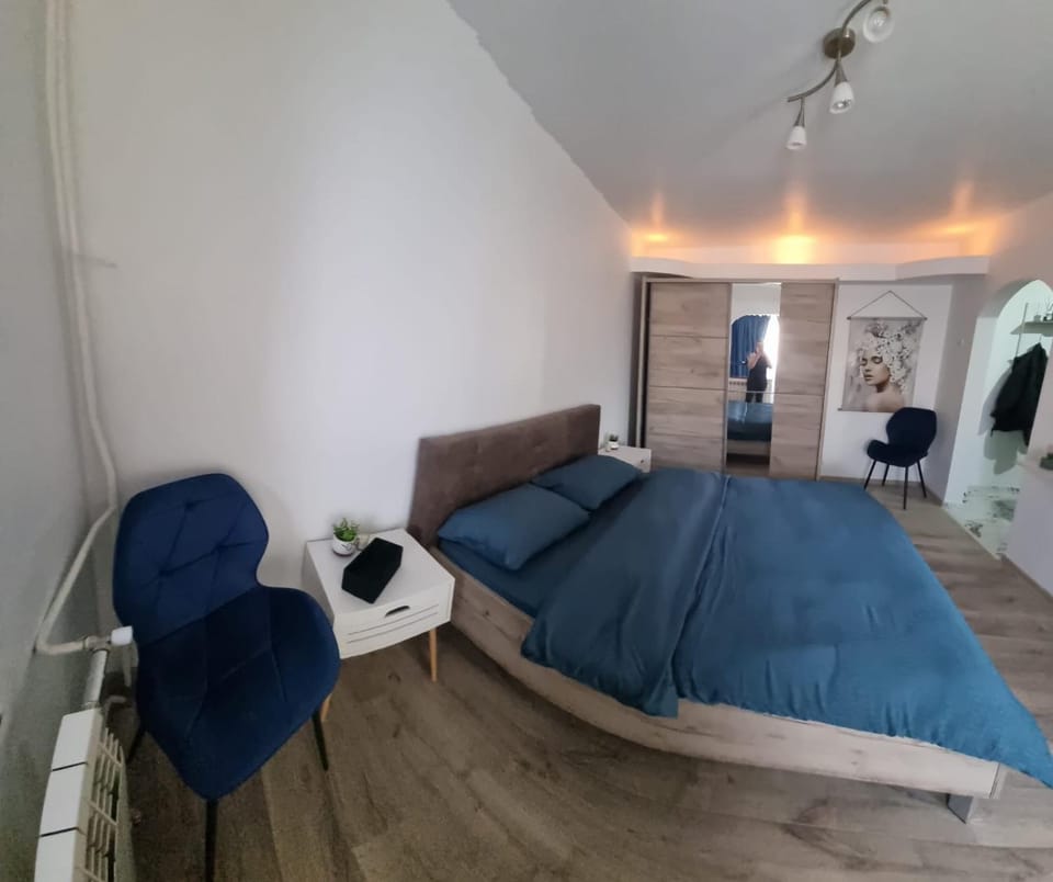 Studio Romanescu Centru S 9 Apartment in Craiova