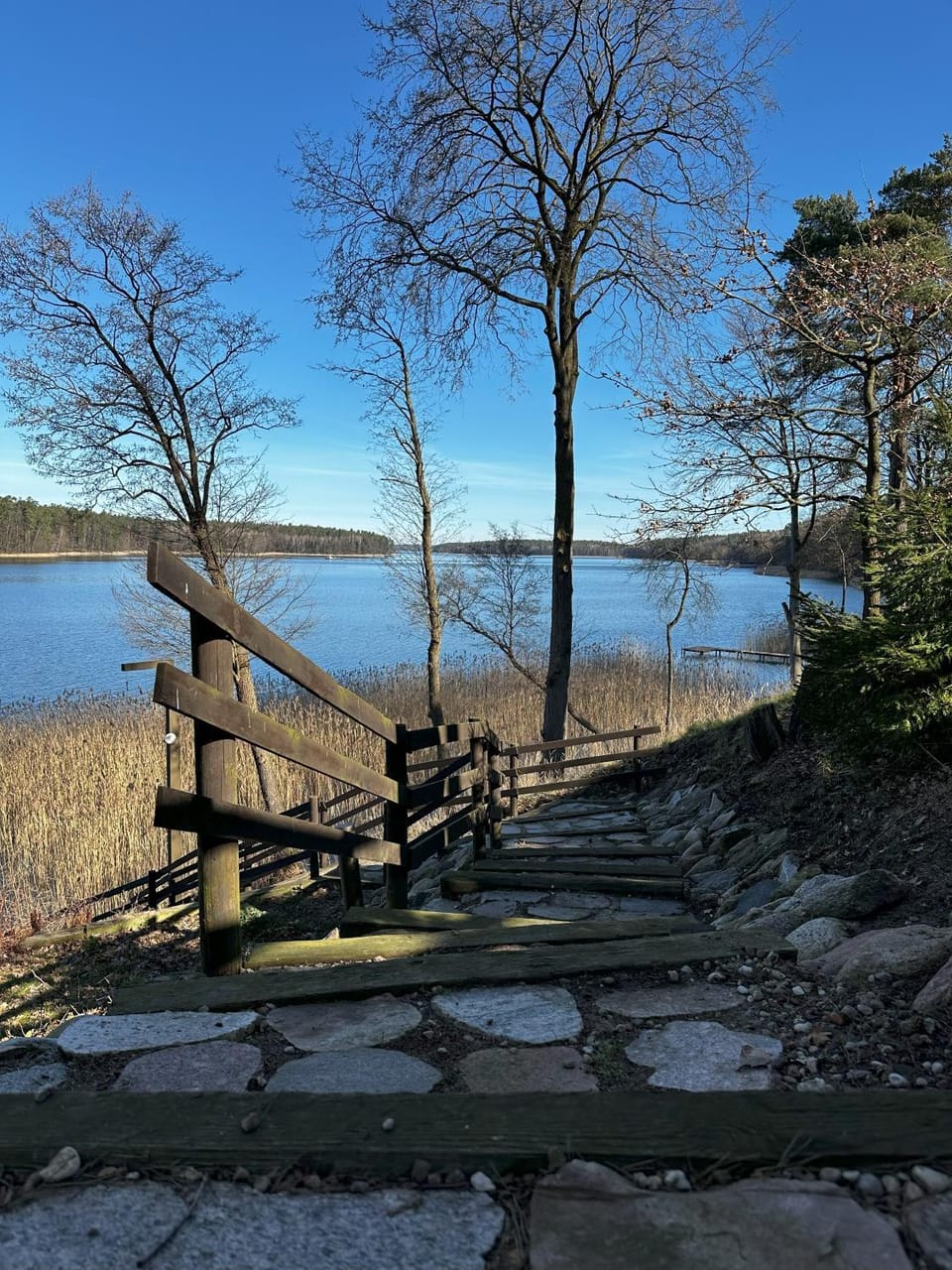 Lake view