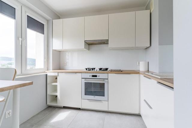 Kitchen or kitchenette, dishwasher, oven, stove