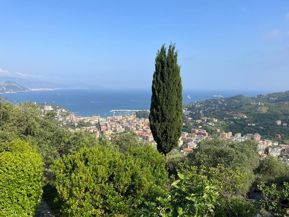 View (from property/room)