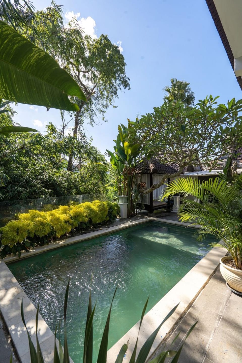 Garden, Swimming pool