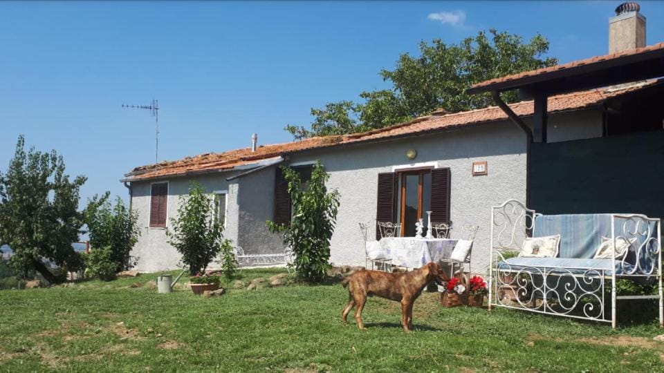 Il Poggetto di Barbara - Casa Grigia House in Tuscany