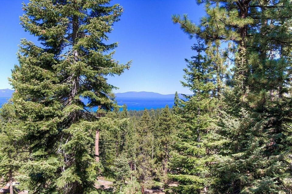 HCH1239 - Heavenly Tree House home House in South Lake Tahoe