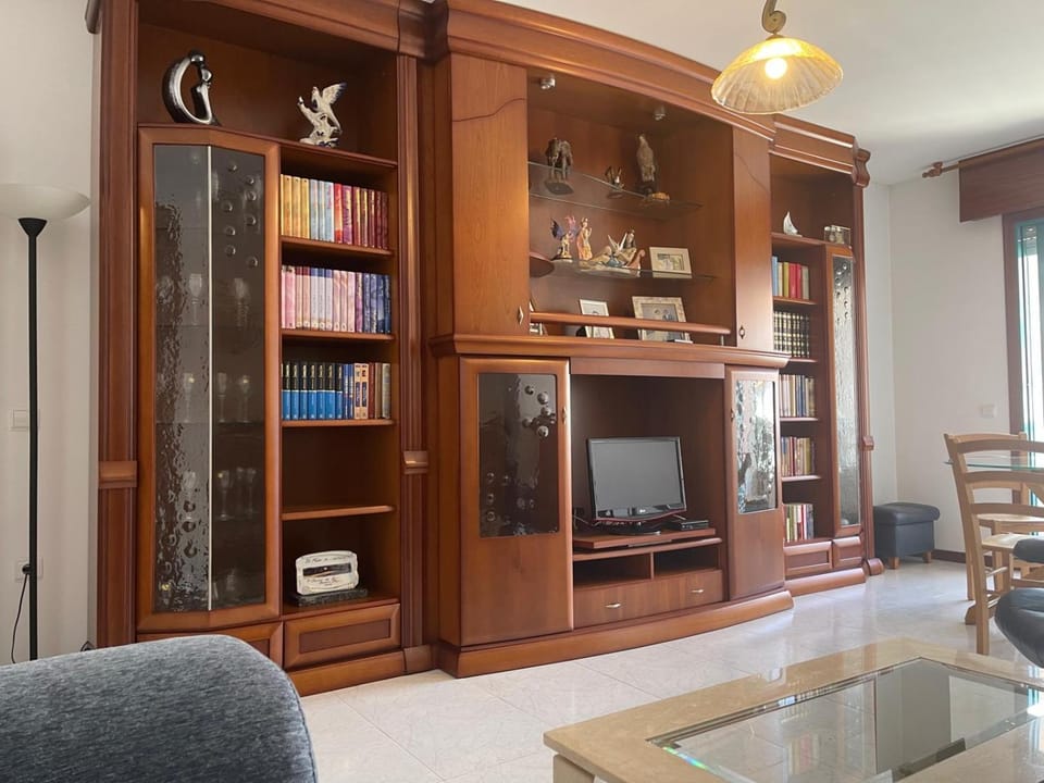 Library, TV and multimedia, Living room, Seating area, Evening entertainment