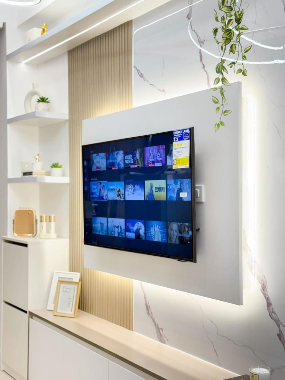 TV and multimedia