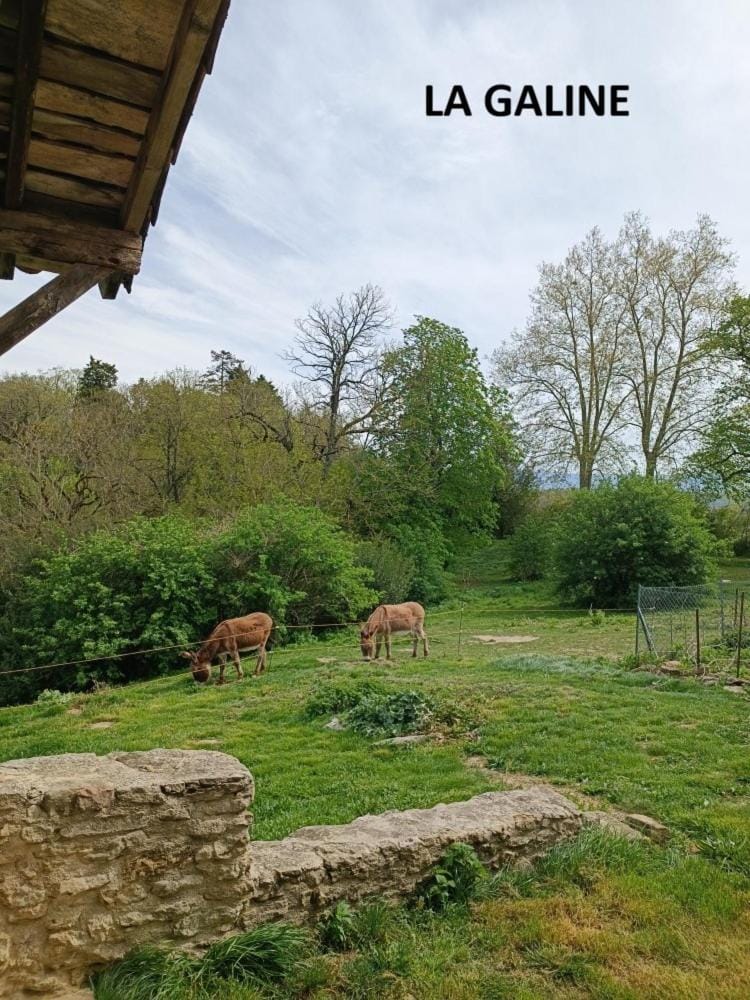 Domaine Puy Saint Jammes House in Occitanie