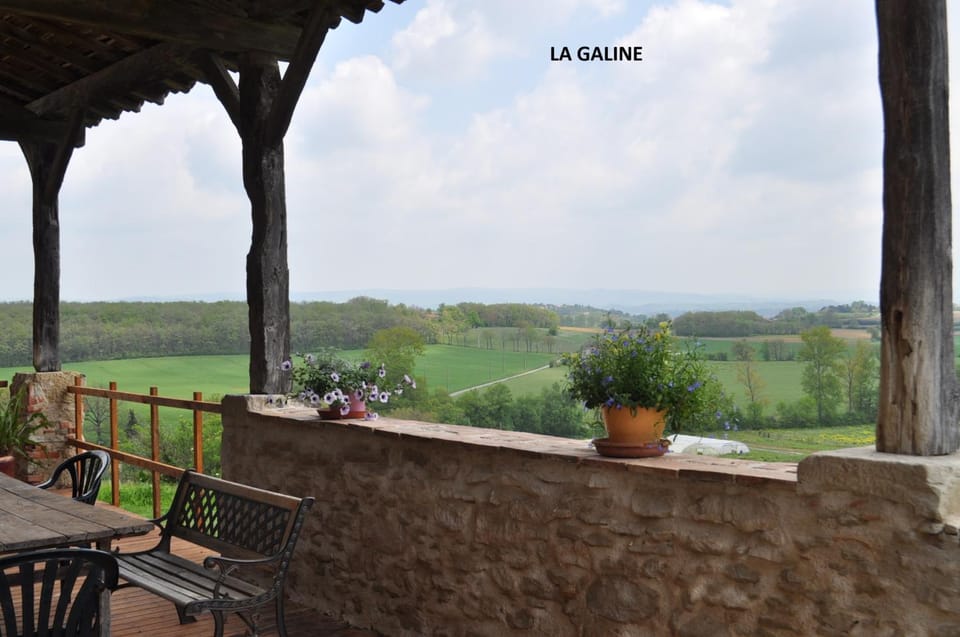 Patio, View (from property/room)