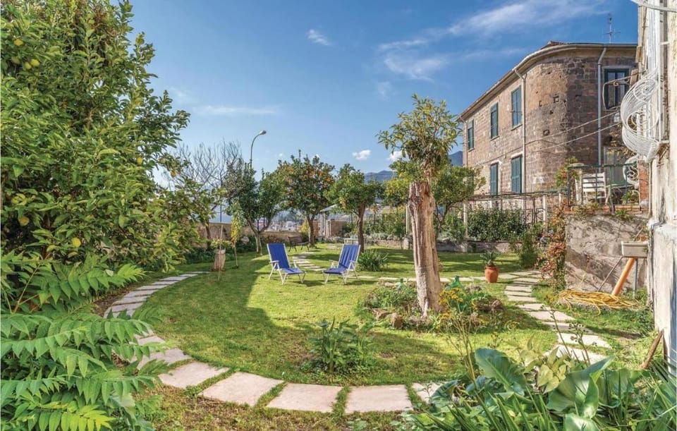 Property building, Garden, Garden, Garden view