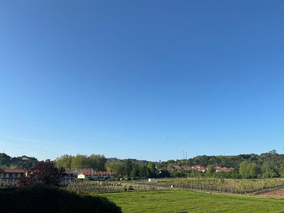 Natural landscape