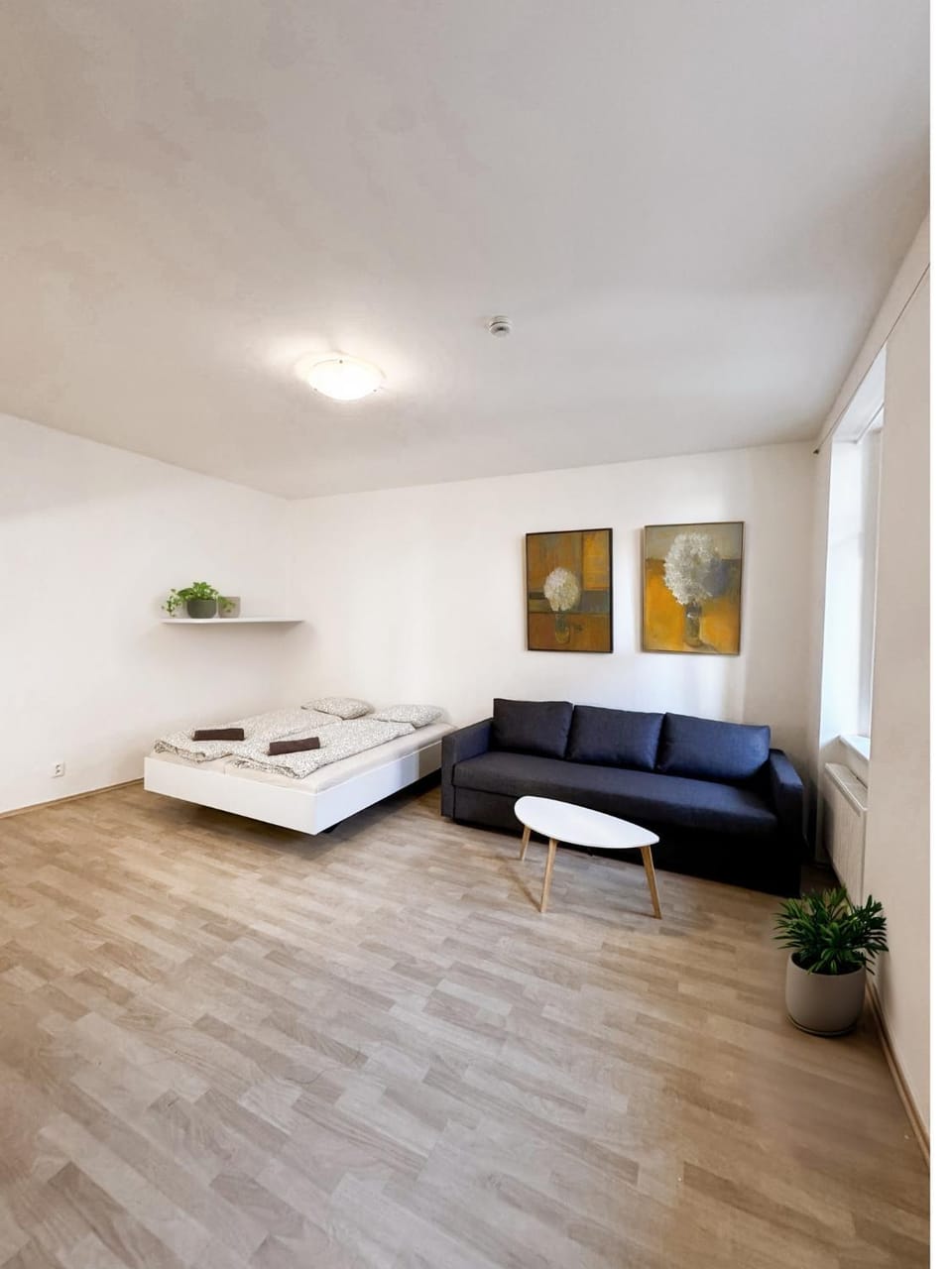 Bed, Living room, Photo of the whole room, Seating area, Bedroom