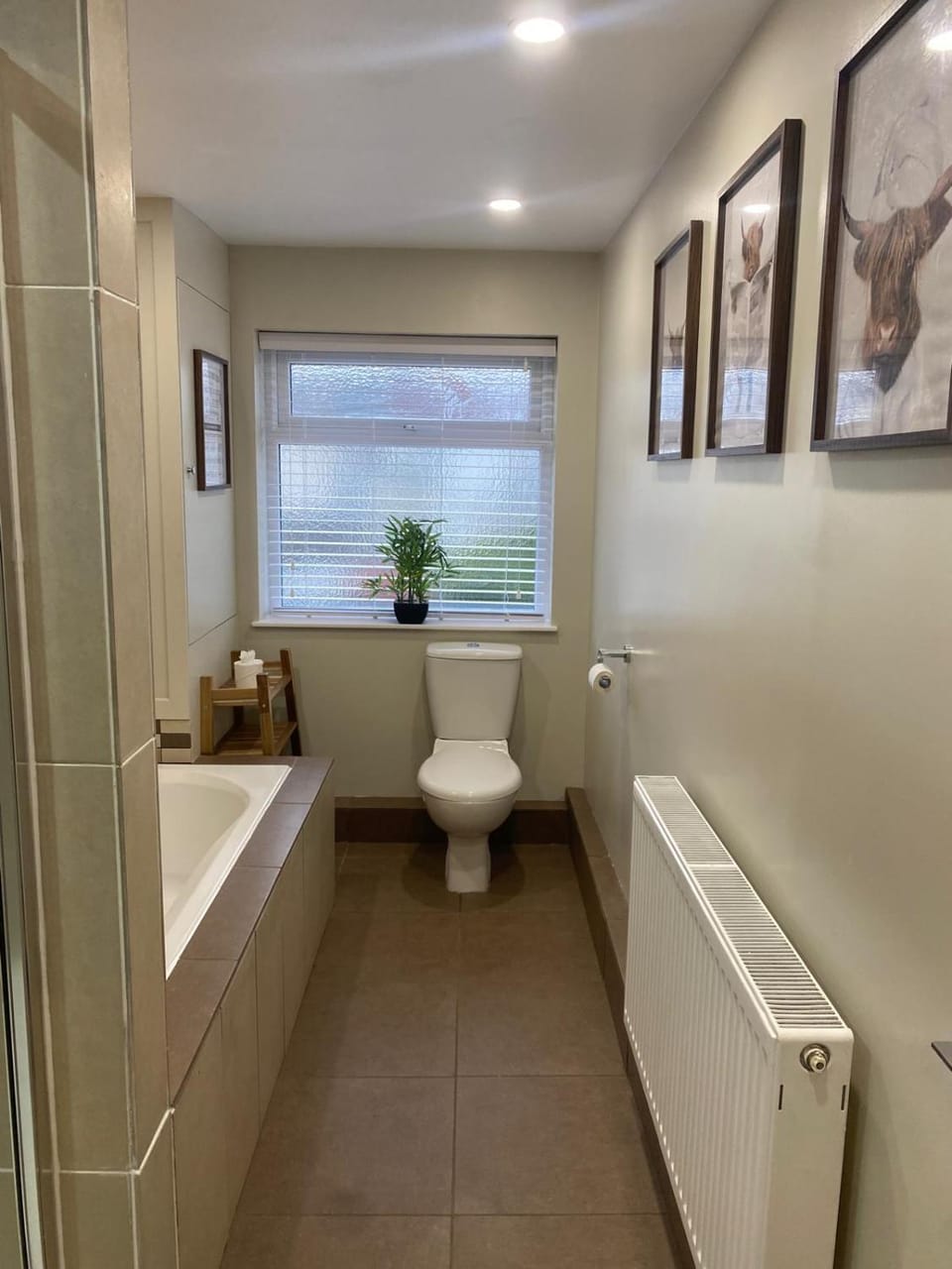 3 Bedroom House in Central Cardiff House in Cardiff