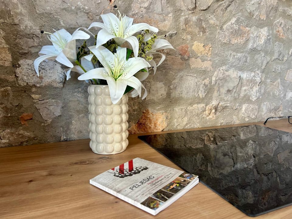 Dream House Rajic Apartment in Dubrovnik-Neretva County