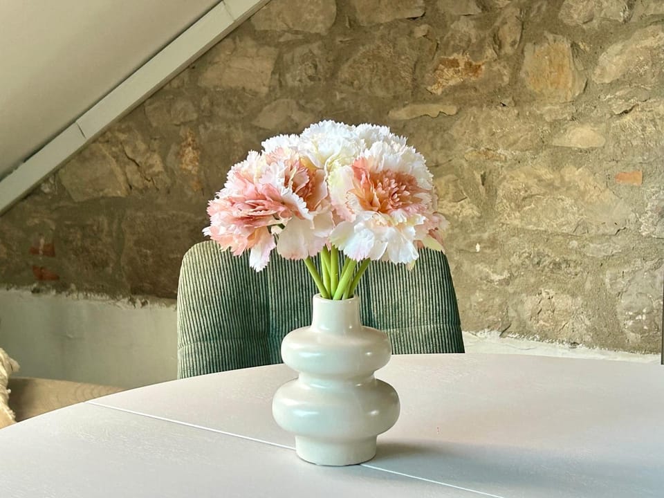 Dream House Rajic Apartment in Dubrovnik-Neretva County