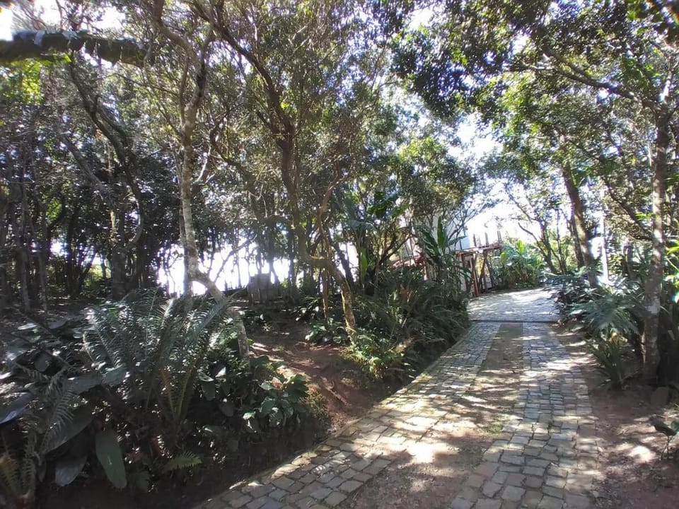 Spring, Day, Natural landscape, Garden, Garden view, Parking