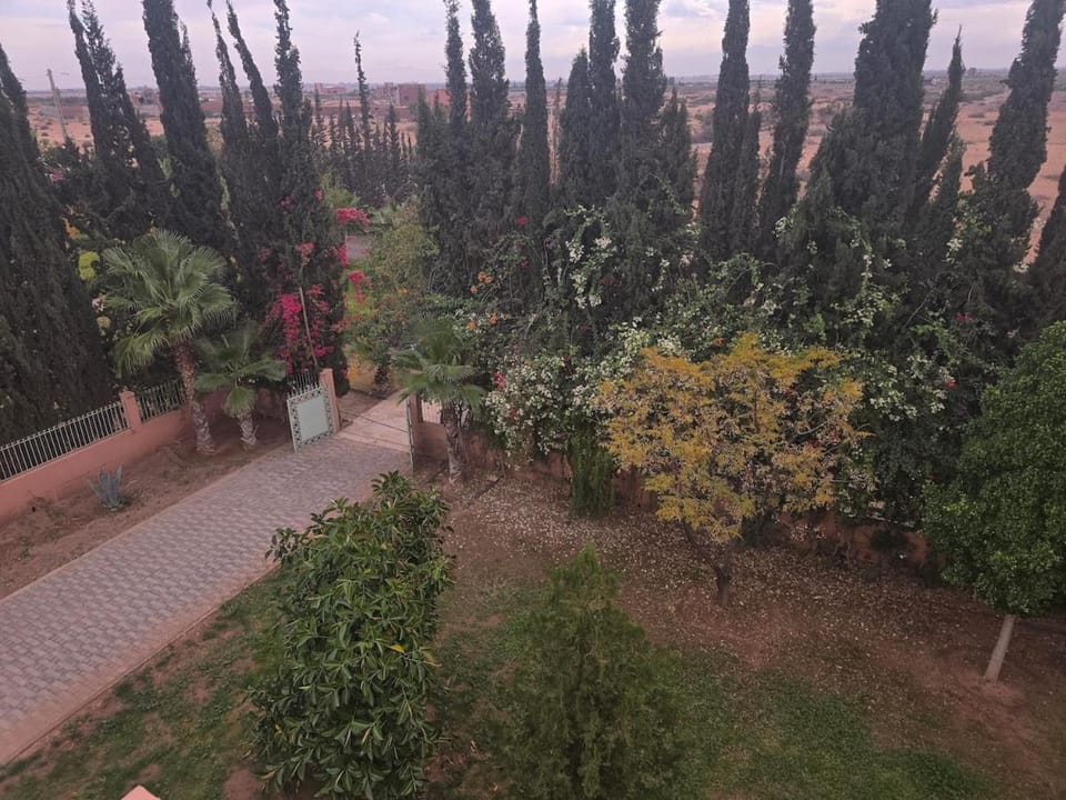Beautiful Villa on 3 ha farm Villa in Marrakesh-Safi
