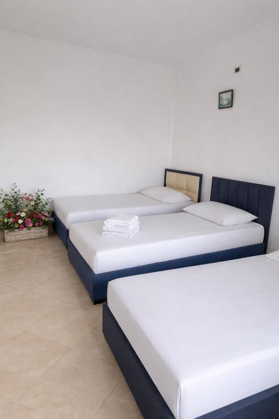 Villa's Daci Apartment in Tirana