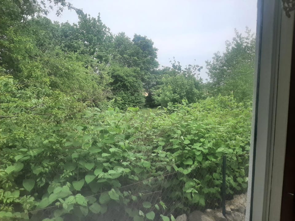 Natural landscape, Garden