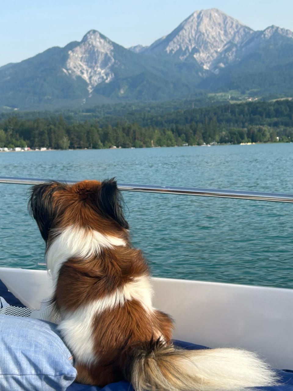 Natural landscape, Activities, Pets